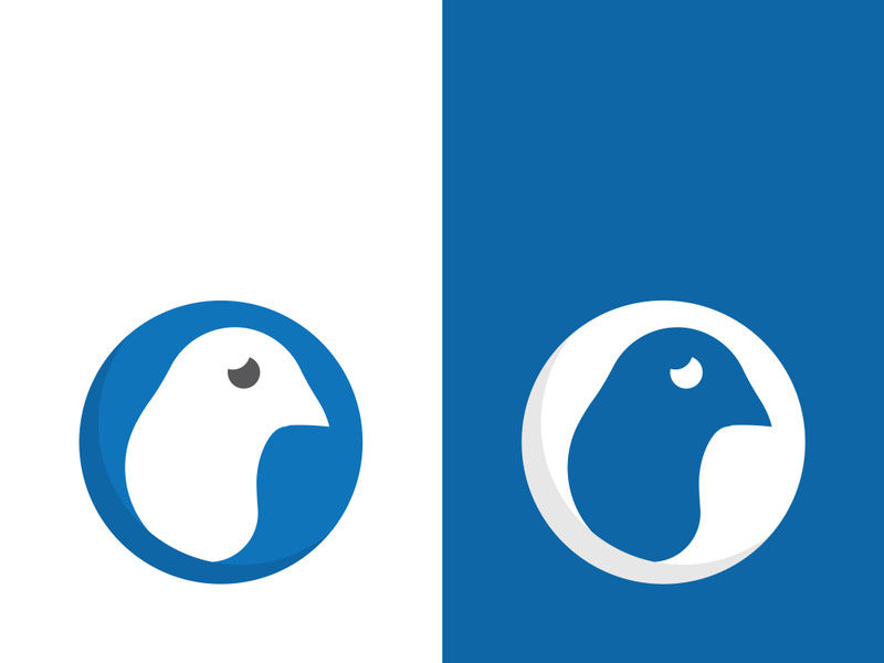Dove bird logo vector design illustration