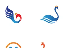 Swan logo Premium and symbol Vector
