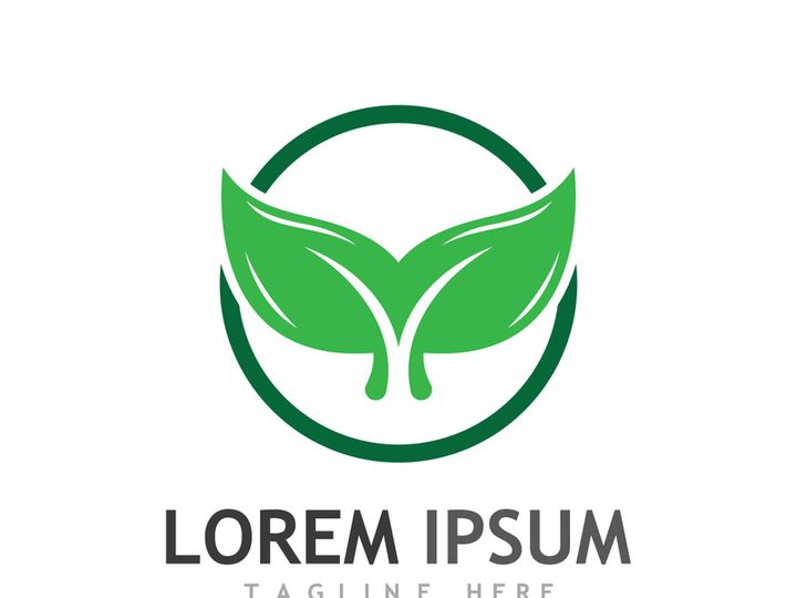 Natural green leaf logo design.