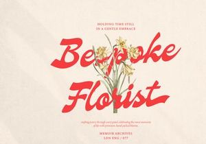 Nevroda Wisdom | Vintage Bold Script