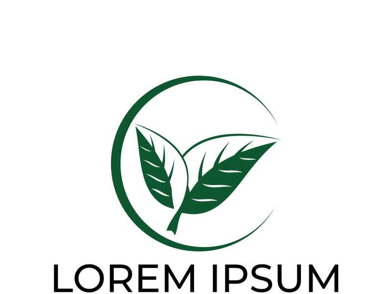 Green leaf logo design vector illustration