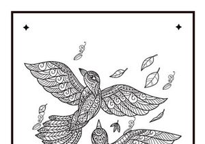 6 Bird Coloring Book Pages KDP Interior.