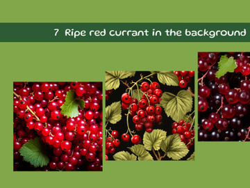 Ripe red currant in the background preview picture
