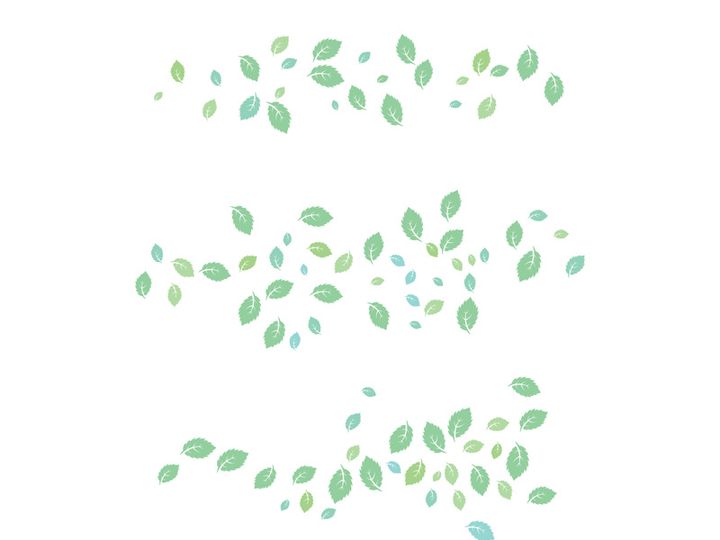 Mint Leaf icon template  illustration