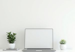 Minimal desk workspace with laptop, notebook, and indoor plant
