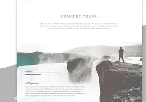 Website concept for musicians