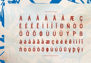 Herald Town | Vintage Sans Serif