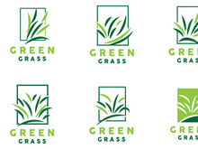 Green Grass Logo, Nature Plant Vector