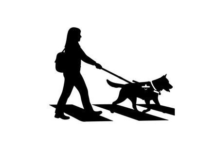 Silhouette of a woman walking her dog on a leash outdoors