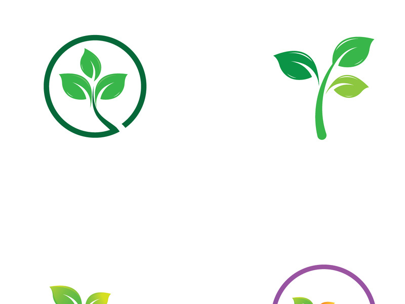 Natural green leaf logo design.