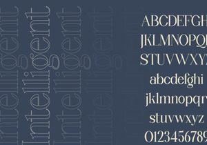 Wondernesia Nostalgic & Modern Serif