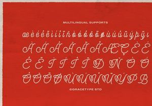 Audley Ipswitch | Monoline Script