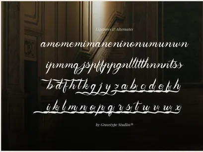 Aipshar | Elegant Script