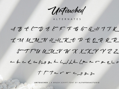 Untouched - Brush Script Font