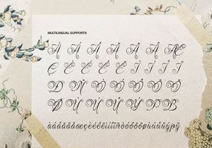 Rustaliya | Classic Elegant Script