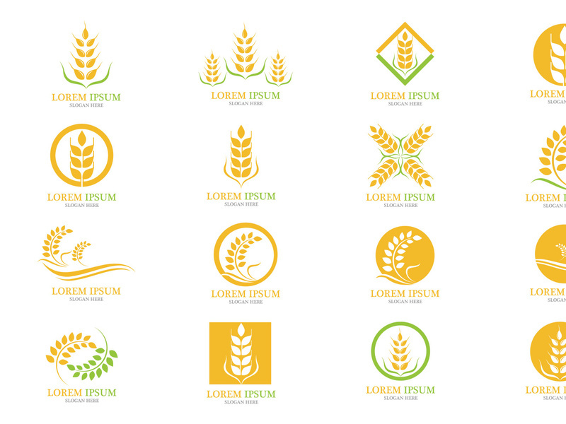 Wheat rice food logo vector