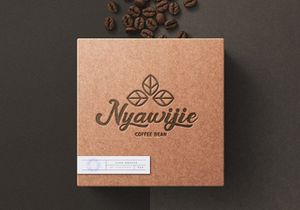 Andy Tusvah - Bold Script Font