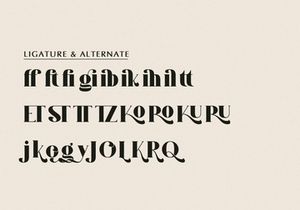 Qatro | Display Serif Font