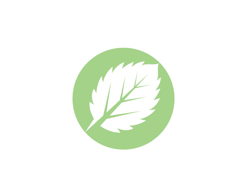 Mint Leaf icon template illustration