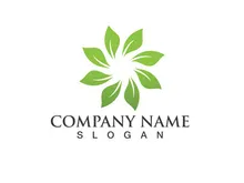 Eco Energy Vector Logo with leaf symbol. Green color with flash or thunder graphic. Nature and electricity renewable. This logo is suitable for technology, recycle, organic.