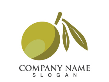 Extra virgin olive oil logo icon design vector illustration preview picture
