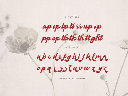 Signage Heritage | Vintage Bold Script