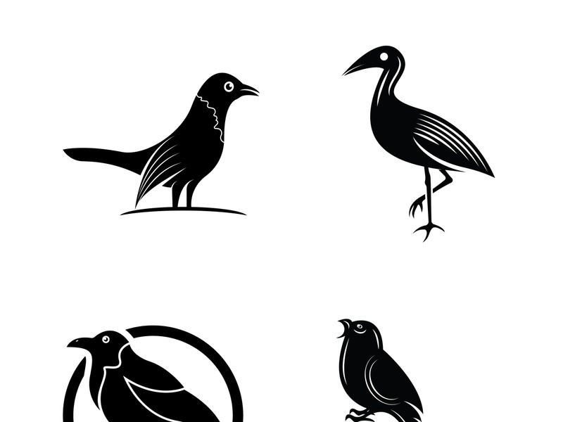 Elegant bird logo icon design and symbol vector template