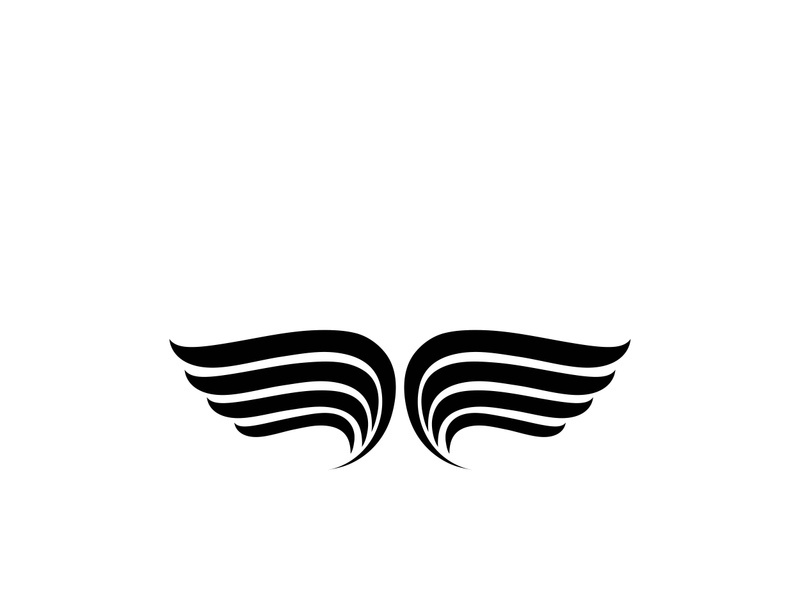 Wing illustration logo and symbol vector