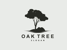 Oak Tree Logo, Nature Tree Plant Vector, Minimalist Simple Design