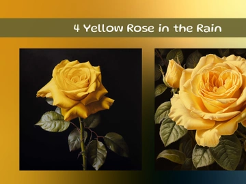 Yellow Rose in the Rain preview picture