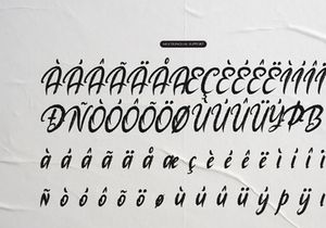 The Mollina | Solid Hand Drawn Brush