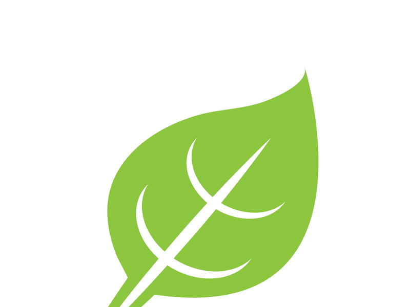 Leaf logo vector icon design template