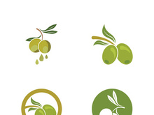 Extra virgin olive oil logo icon design vector illustration