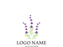 Lavender flower vector icon illustration design template