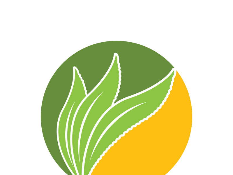 Aloe Vera logo icon design symbol beauty skin care