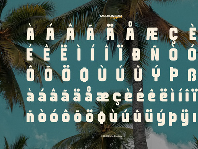 Fredoka Summer | Bold Display Sans