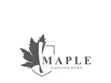Maple leaf logo design vintage style graphic illustration