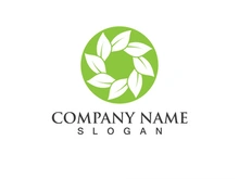 Green leaf logo Vector