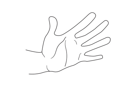 Hand Drawn Vector Bundle