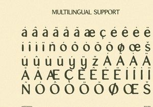 Antichona - Rough Sans Font