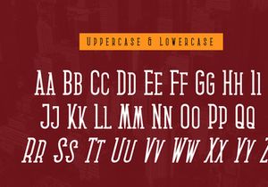 Medan Slab Condensed Slab Serif Font