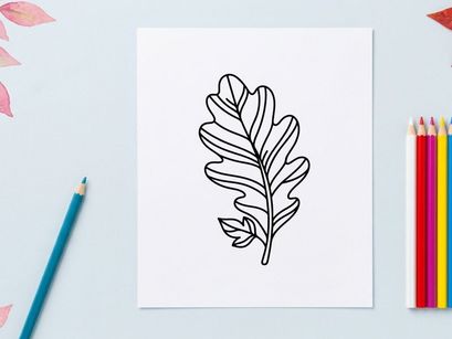 Primer plano de una ilustración detallada de hoja de roble. Dibujo botánico artístico para temas de naturaleza.