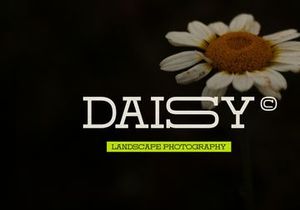 Domesia | Wide Slab Serif