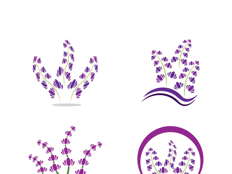 Lavender flower vector icon illustration design template