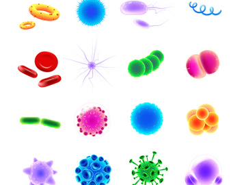 Bacteria types realistic vector icons set preview picture