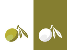 Extra virgin olive oil logo icon design vector illustration