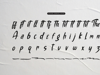 The Mollina | Solid Hand Drawn Brush