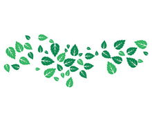 Mint Leaf icon template  illustration