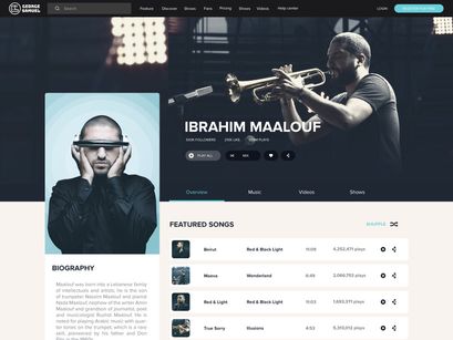 Profile website