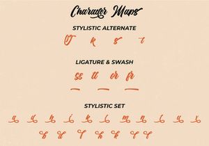 The Anthelope - Retro Bold Script Font